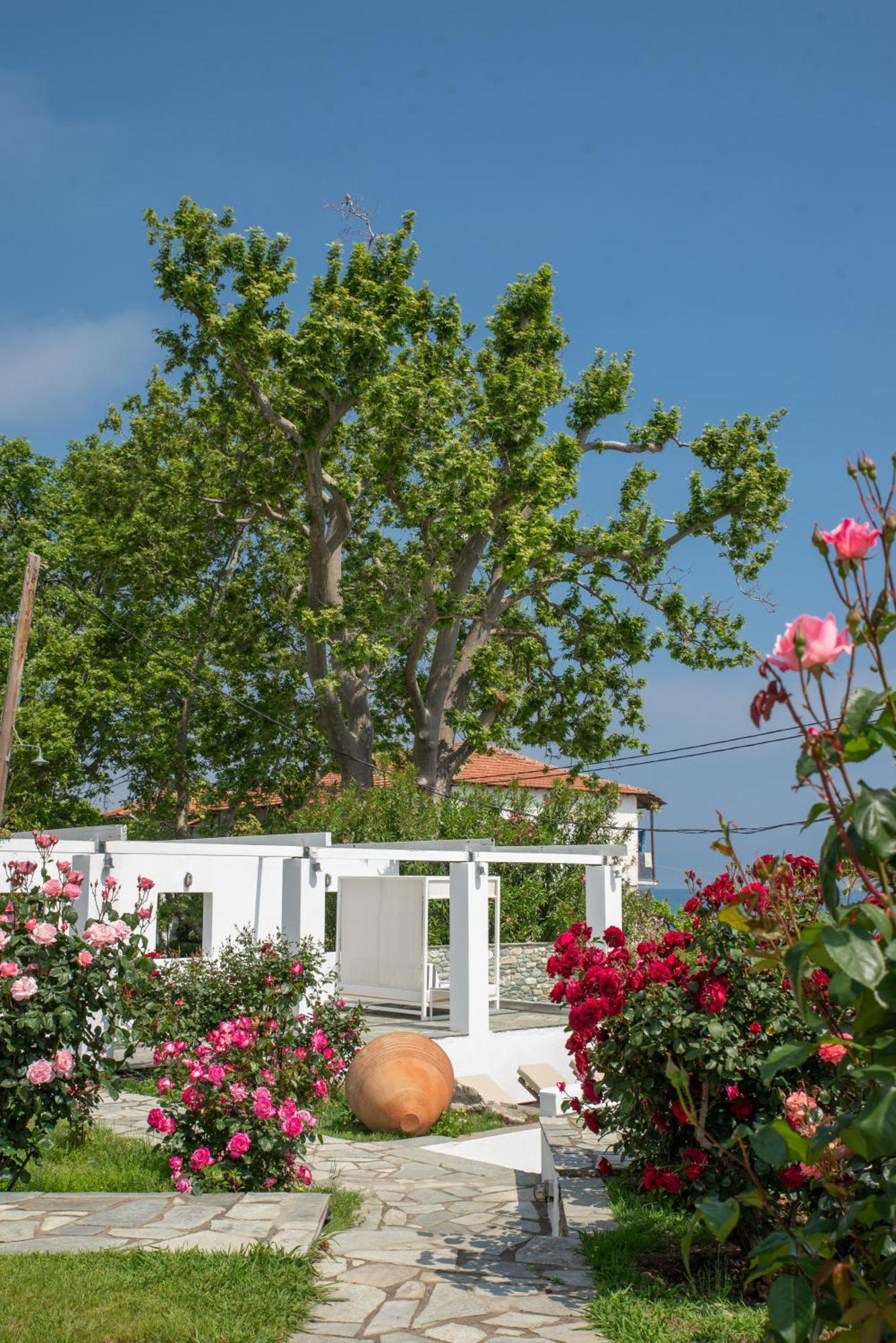 Aeolos Hotel&Villas - Pelion Khorevtón Luaran gambar