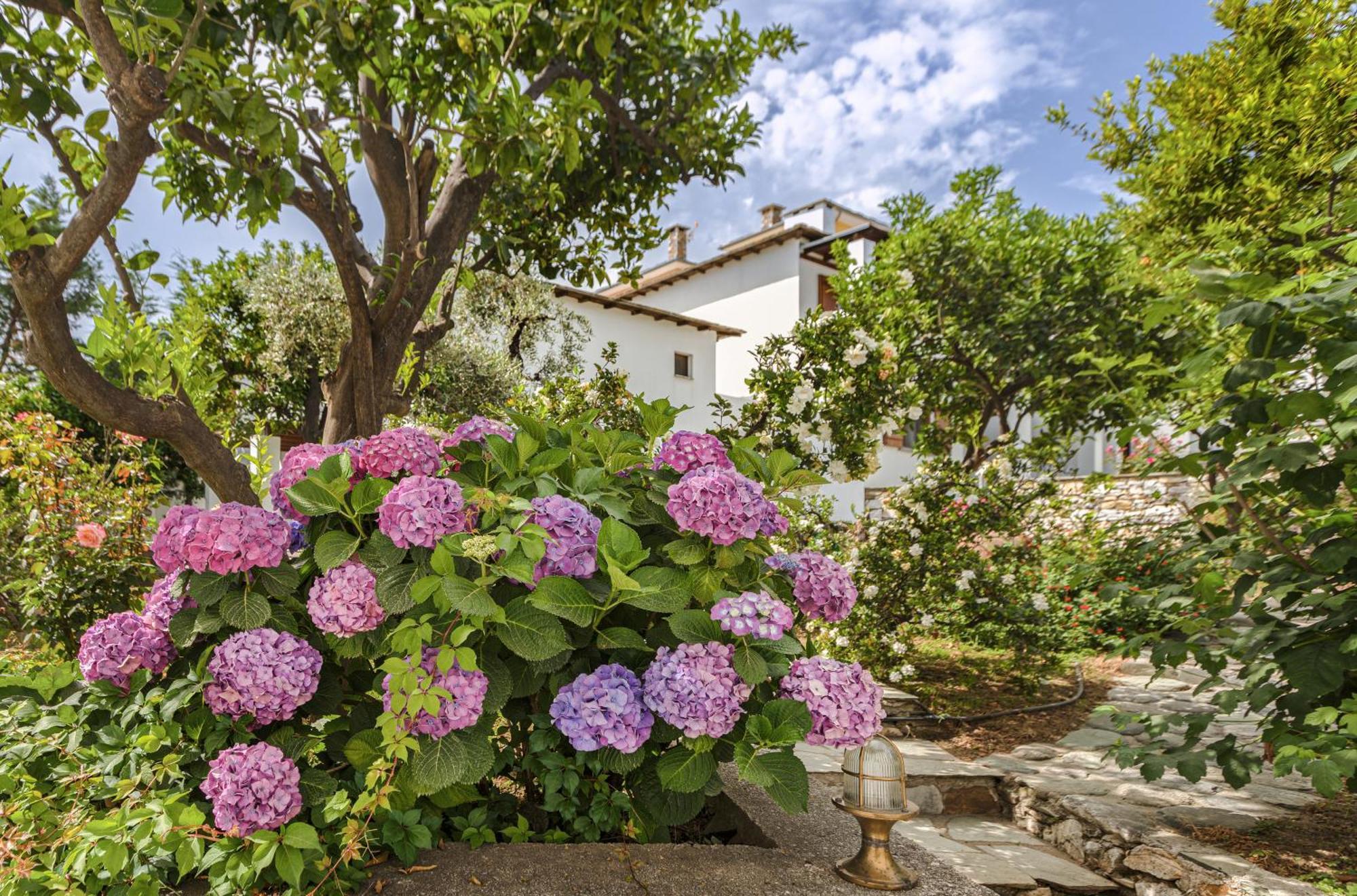 Aeolos Hotel&Villas - Pelion Khorevtón Luaran gambar